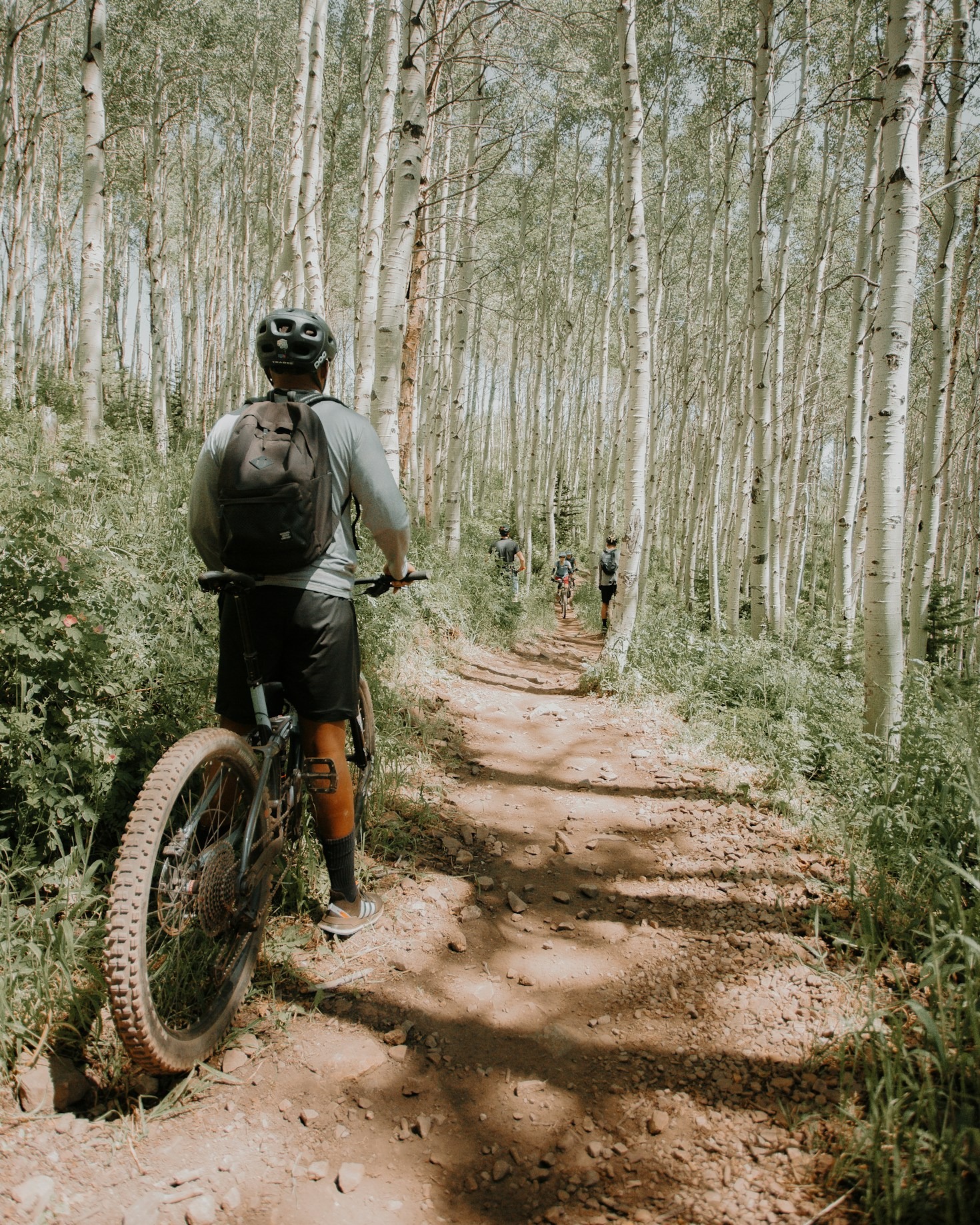 Trike, handbike czy tandem? Wybierz idealny sprzęt dla siebie